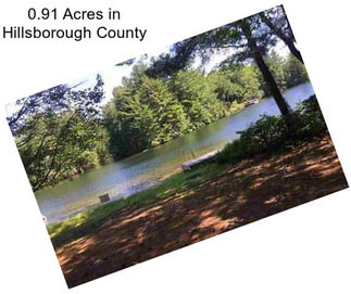 0.91 Acres in Hillsborough County