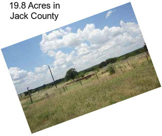 19.8 Acres in Jack County