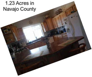1.23 Acres in Navajo County