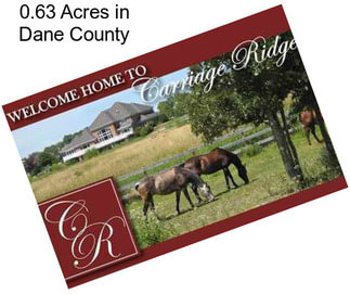 0.63 Acres in Dane County