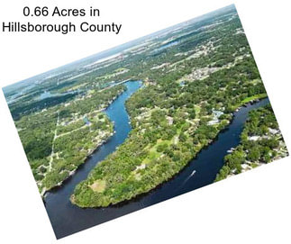 0.66 Acres in Hillsborough County