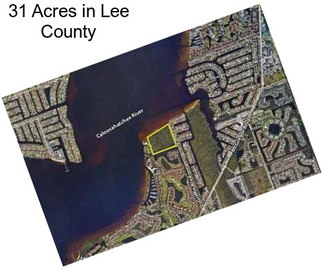 31 Acres in Lee County