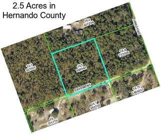 2.5 Acres in Hernando County