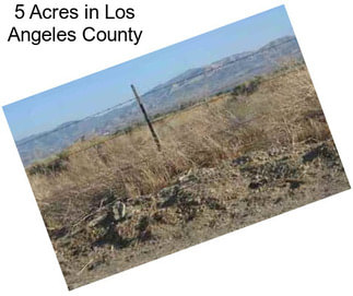 5 Acres in Los Angeles County