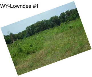 WY-Lowndes #1