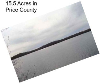 15.5 Acres in Price County