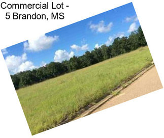 Commercial Lot - 5 Brandon, MS