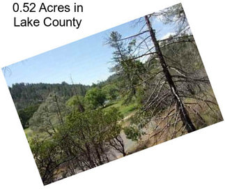 0.52 Acres in Lake County