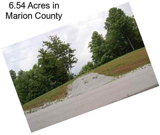 6.54 Acres in Marion County