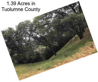 1.39 Acres in Tuolumne County