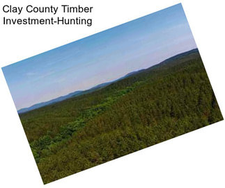 Clay County Timber Investment-Hunting