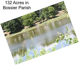 132 Acres in Bossier Parish