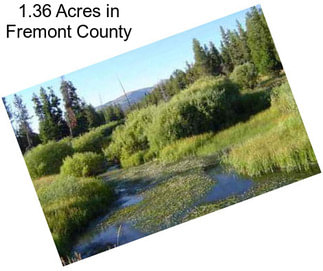 1.36 Acres in Fremont County