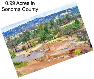 0.99 Acres in Sonoma County