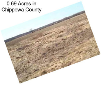 0.69 Acres in Chippewa County