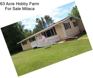 63 Acre Hobby Farm For Sale Milaca
