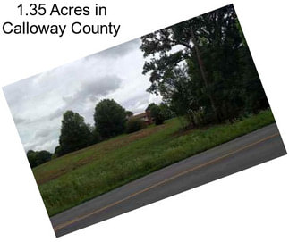1.35 Acres in Calloway County