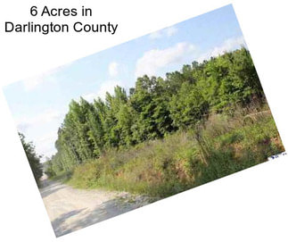 6 Acres in Darlington County