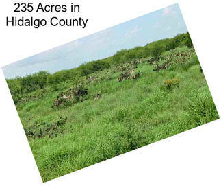 235 Acres in Hidalgo County