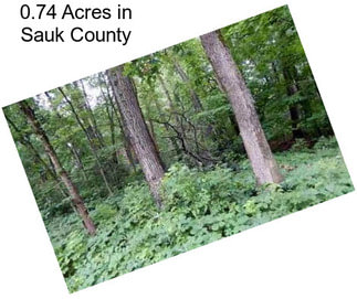 0.74 Acres in Sauk County