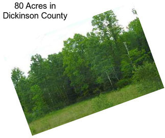 80 Acres in Dickinson County