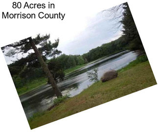 80 Acres in Morrison County