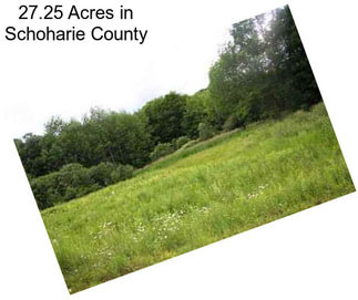 27.25 Acres in Schoharie County