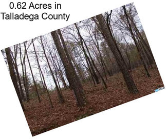 0.62 Acres in Talladega County