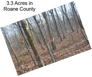 3.3 Acres in Roane County