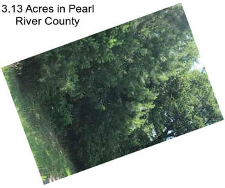 3.13 Acres in Pearl River County