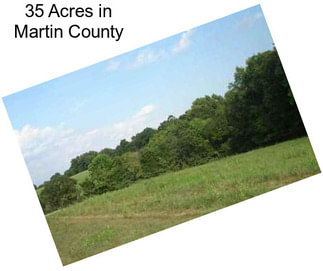 35 Acres in Martin County