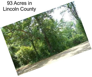 93 Acres in Lincoln County