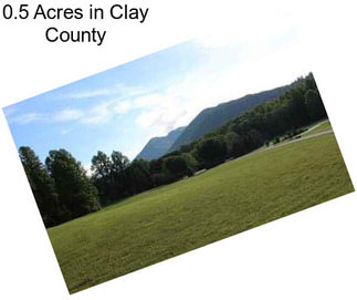 0.5 Acres in Clay County