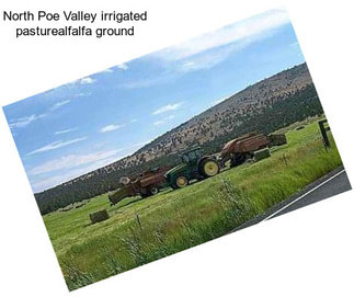 North Poe Valley irrigated pasture\\alfalfa ground