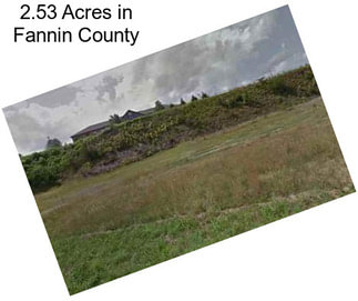 2.53 Acres in Fannin County