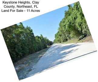 Keystone Heights, Clay County, Northeast, FL Land For Sale - 11 Acres