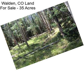 Walden, CO Land For Sale - 35 Acres