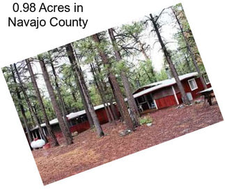 0.98 Acres in Navajo County