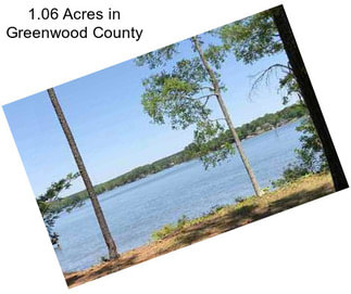 1.06 Acres in Greenwood County