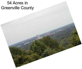 54 Acres in Greenville County