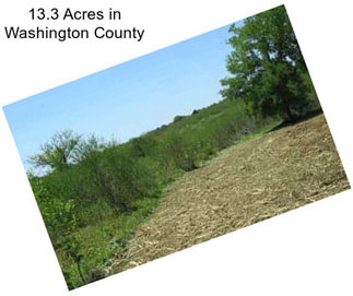 13.3 Acres in Washington County