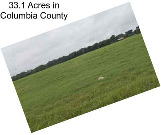 33.1 Acres in Columbia County