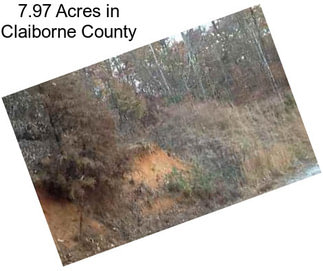 7.97 Acres in Claiborne County