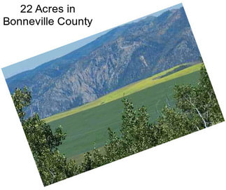 22 Acres in Bonneville County