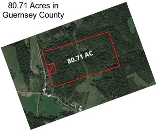80.71 Acres in Guernsey County