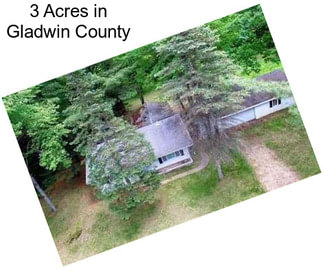 3 Acres in Gladwin County