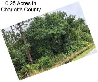 0.25 Acres in Charlotte County