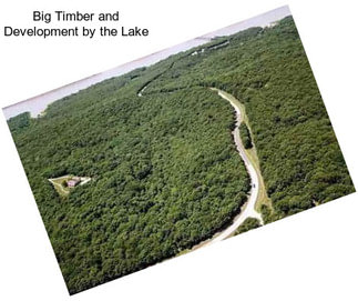 Big Timber and Development by the Lake