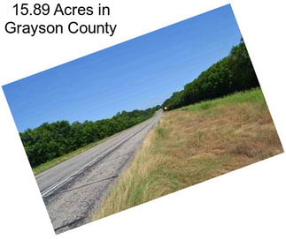 15.89 Acres in Grayson County