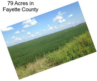 79 Acres in Fayette County